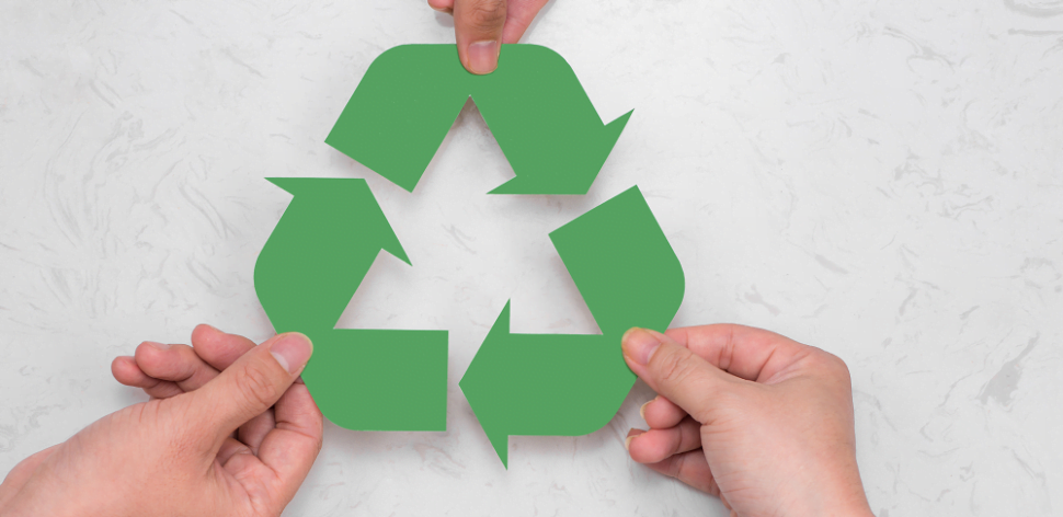 Reciclagem: como contribuir?