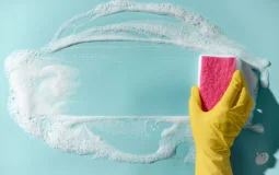 A melhor amiga da limpeza: esponja multiuso da Limppano é a Melhor do Teste em comparativo da PROTESTE