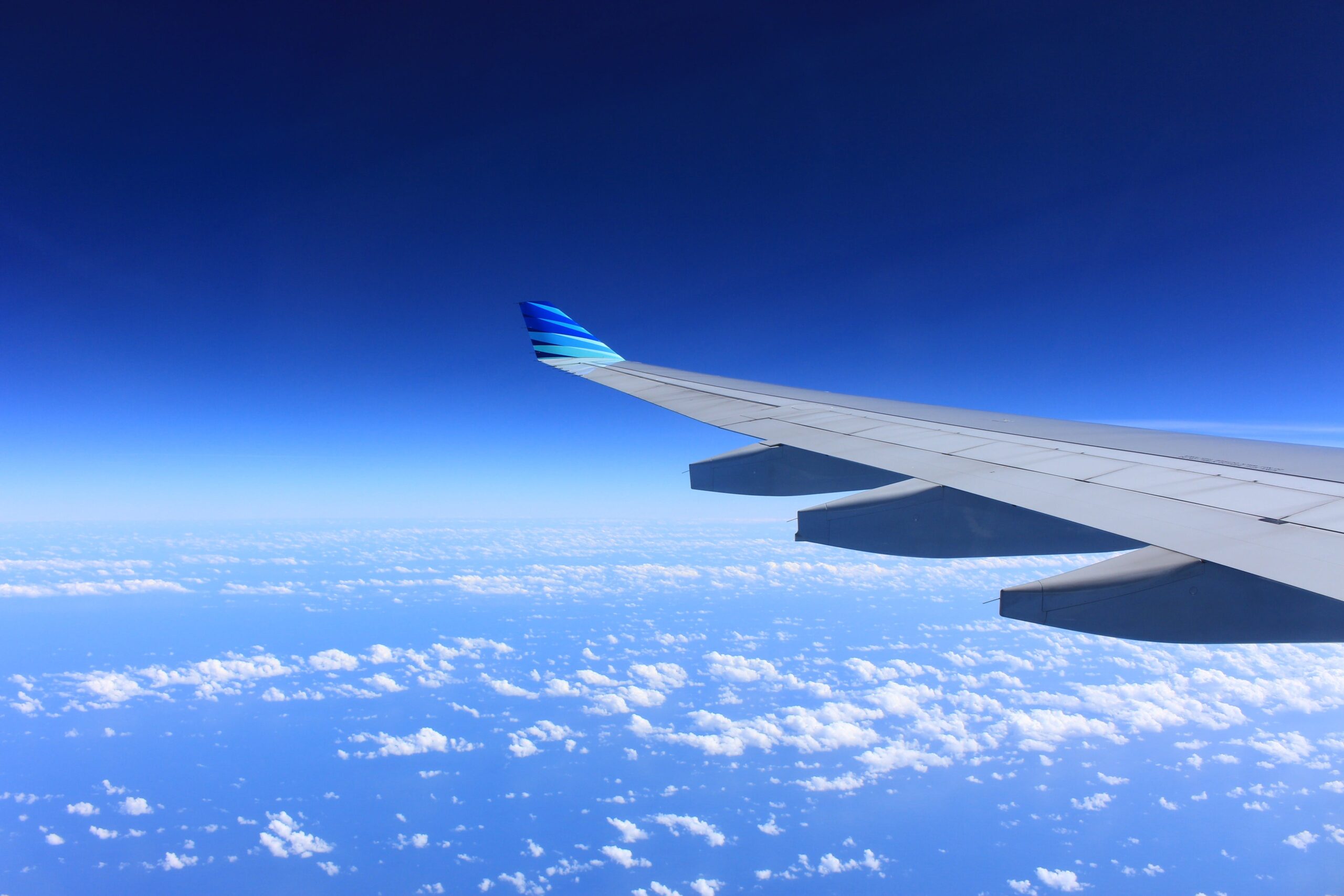 Viagem com pet de avião: quais são as regras?
