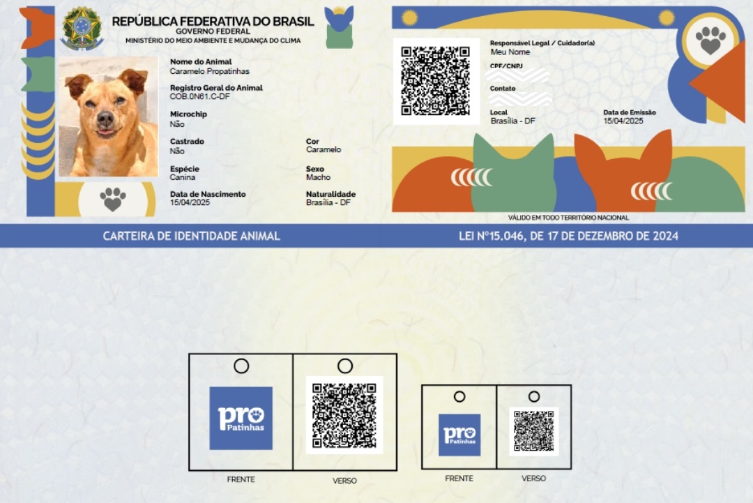 O RG Pet é realizado de forma 100% gratuita, pelo site ou presencialmente nas prefeituras e subprefeituras (FOTO: Divulgação Governo Federal).
